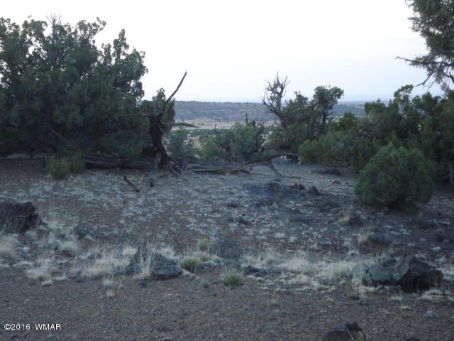 Lot 4 Pinon, Unit 1 Concho, AZ 85924 - Photo 16 of 33