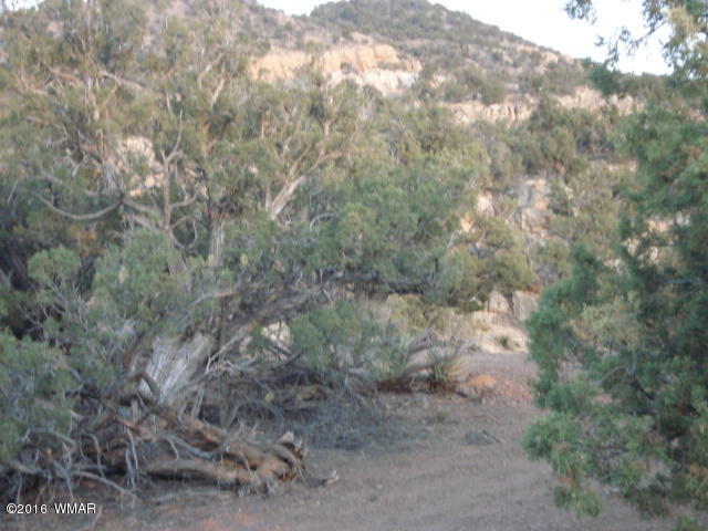 Lot 4 Pinon, Unit 1 Concho, AZ 85924 - Photo 17 of 33