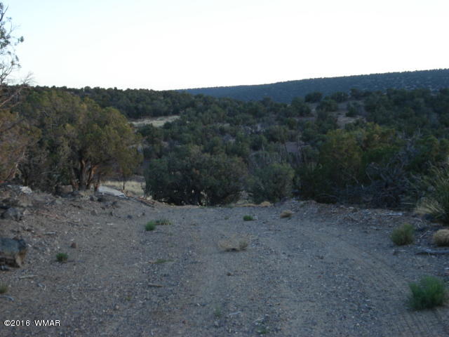 Lot 4 Pinon, Unit 1 Concho, AZ 85924 - Photo 18 of 33