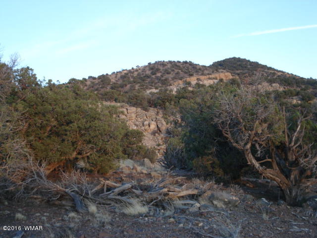 Lot 4 Pinon, Unit 1 Concho, AZ 85924 - Photo 19 of 33