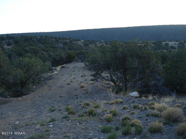 Lot 4 Pinon, Unit 1 Concho, AZ 85924 - Photo 20 of 33