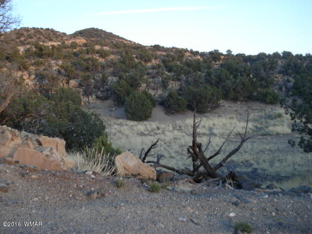 Lot 4 Pinon, Unit 1 Concho, AZ 85924 - Photo 2 of 33