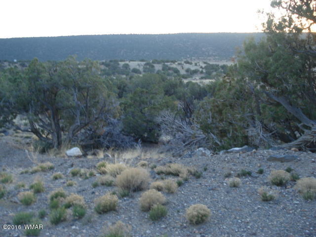 Lot 4 Pinon, Unit 1 Concho, AZ 85924 - Photo 21 of 33
