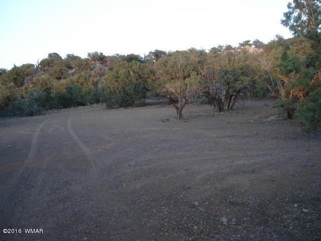 Lot 4 Pinon, Unit 1 Concho, AZ 85924 - Photo 23 of 33