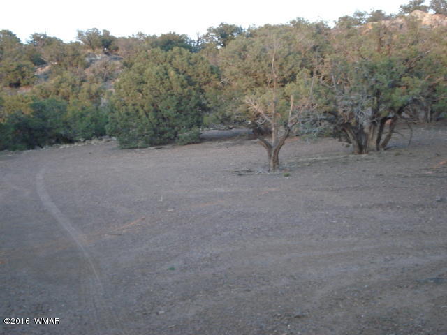 Lot 4 Pinon, Unit 1 Concho, AZ 85924 - Photo 24 of 33