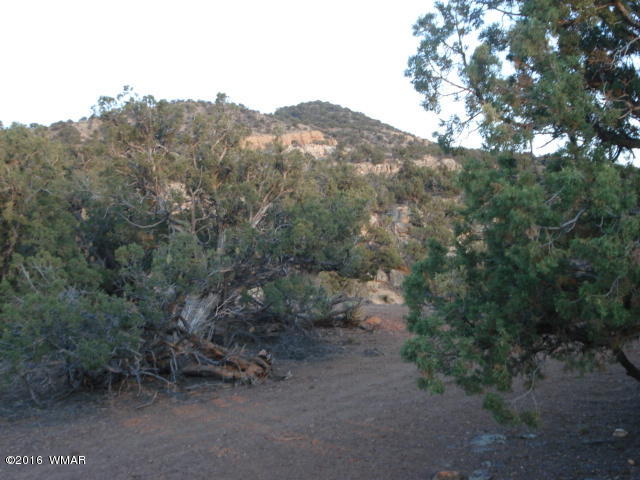 Lot 4 Pinon, Unit 1 Concho, AZ 85924 - Photo 25 of 33