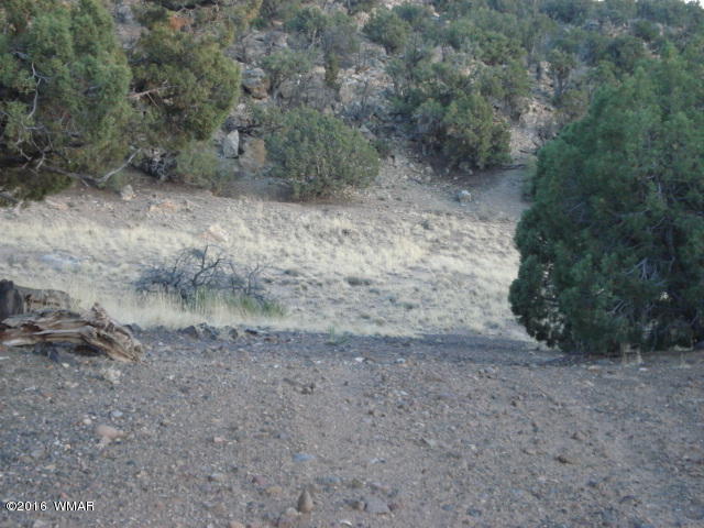 Lot 4 Pinon, Unit 1 Concho, AZ 85924 - Photo 26 of 33