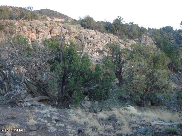 Lot 4 Pinon, Unit 1 Concho, AZ 85924 - Photo 27 of 33