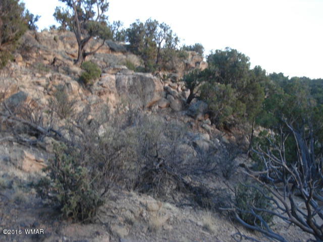 Lot 4 Pinon, Unit 1 Concho, AZ 85924 - Photo 28 of 33