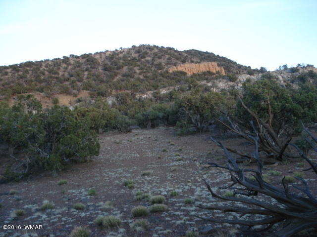 Lot 4 Pinon, Unit 1 Concho, AZ 85924 - Photo 29 of 33
