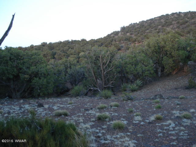 Lot 4 Pinon, Unit 1 Concho, AZ 85924 - Photo 30 of 33