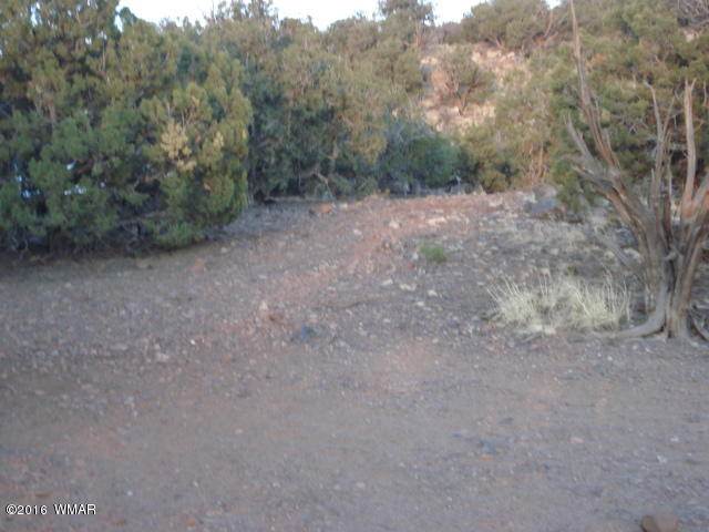 Lot 4 Pinon, Unit 1 Concho, AZ 85924 - Photo 3 of 33