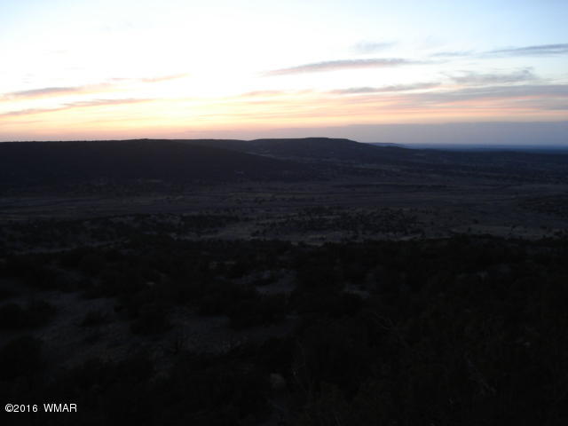 Lot 4 Pinon, Unit 1 Concho, AZ 85924 - Photo 31 of 33