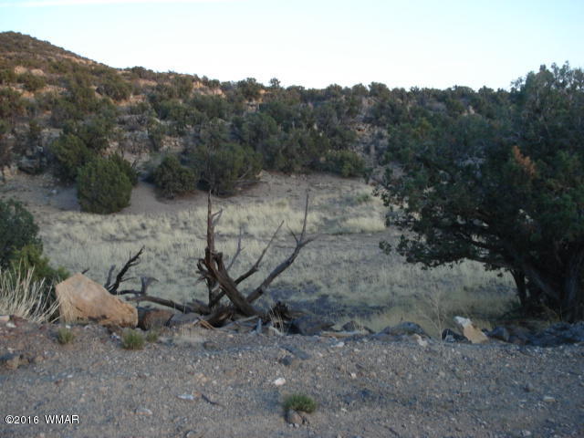 Lot 4 Pinon, Unit 1 Concho, AZ 85924 - Photo 32 of 33