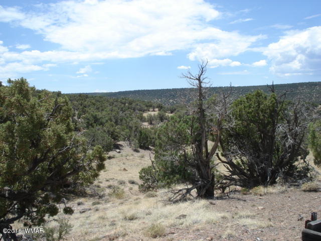 Lot 4 Pinon, Unit 1 Concho, AZ 85924 - Photo 33 of 33