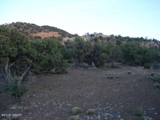 Lot 4 Pinon, Unit 1 Concho, AZ 85924 - Photo 4 of 33
