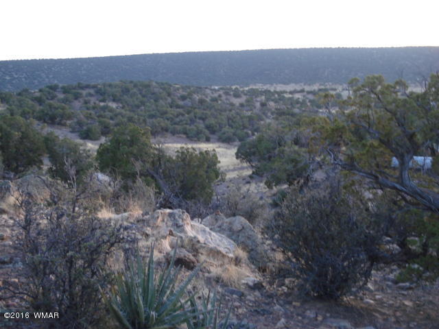 Lot 4 Pinon, Unit 1 Concho, AZ 85924 - Photo 5 of 33
