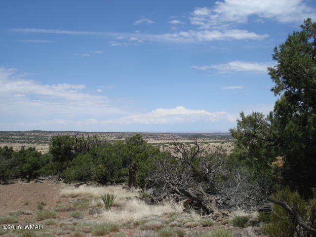Lot 4 Pinon, Unit 1 Concho, AZ 85924 - Photo 6 of 33