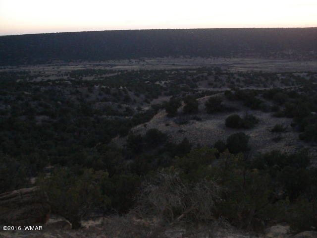 Lot 4 Pinon, Unit 1 Concho, AZ 85924 - Photo 7 of 33