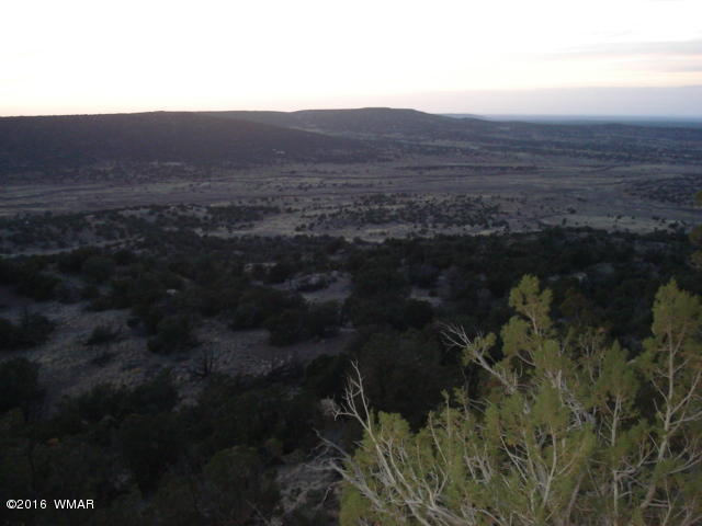 Lot 4 Pinon, Unit 1 Concho, AZ 85924 - Photo 8 of 33