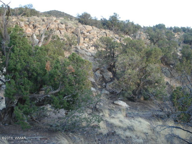 Lot 4 Pinon, Unit 1 Concho, AZ 85924 - Photo 9 of 33