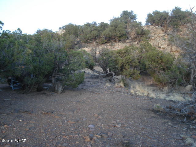 Lot 4 Pinon, Unit 1 Concho, AZ 85924 - Photo 10 of 33