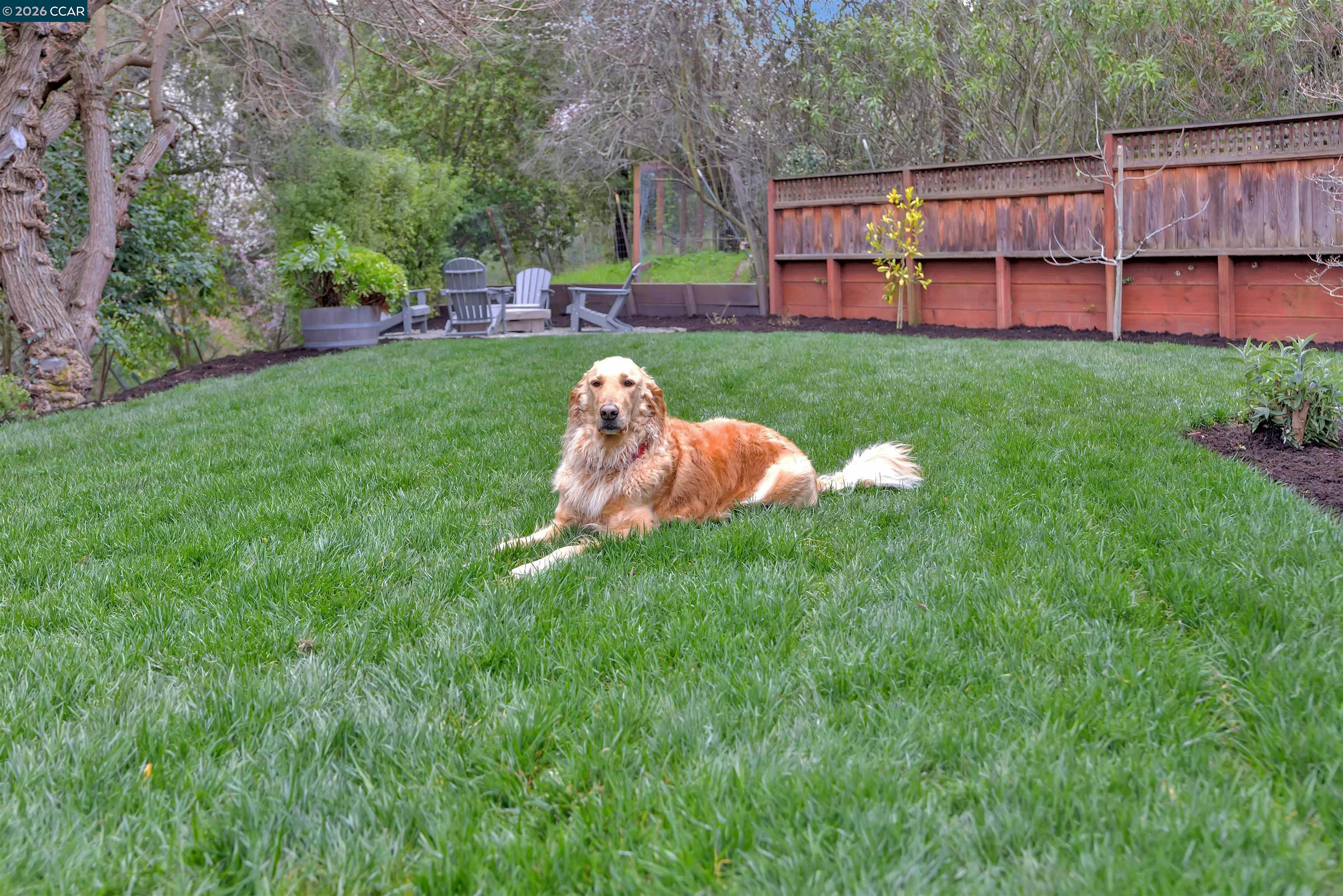 393 Colorados Court Lafayette, CA 94549 - Photo 39 of 46