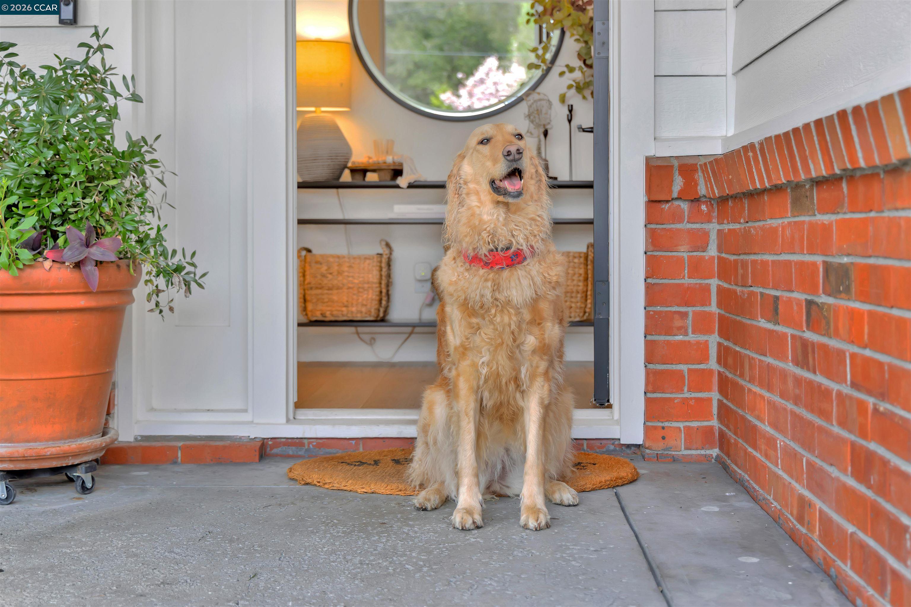 393 Colorados Court Lafayette, CA 94549 - Photo 5 of 46