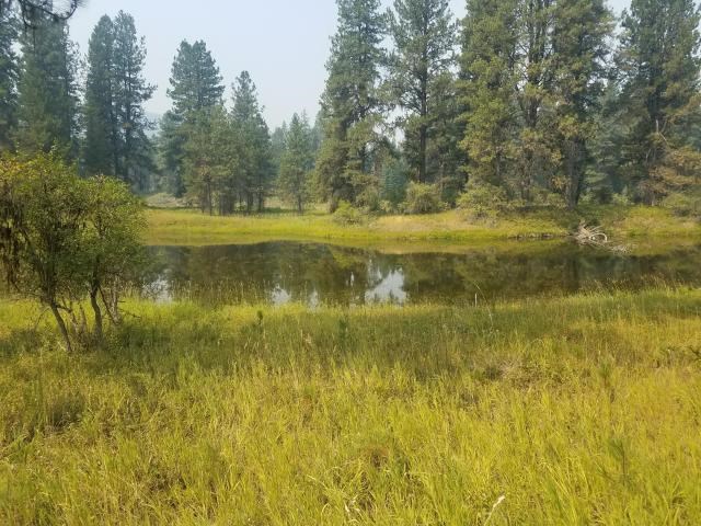 12 Alberta Road Cusick, WA 99119 - Photo 3 of 14