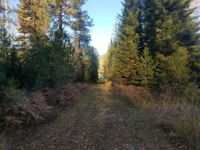 12 Alberta Road Cusick, WA 99119 - Photo 5 of 14