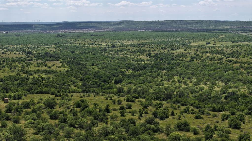 2850 County Road 122 Moran, TX 76464 - Photo 11 of 13 a view of a lush green hillside and a houses