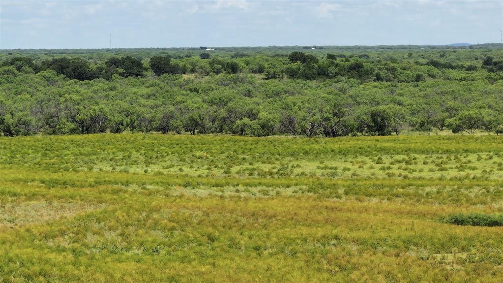 2850 County Road 122 Moran, TX 76464 - Photo 13 of 13 a view of a green field with lots of bushes