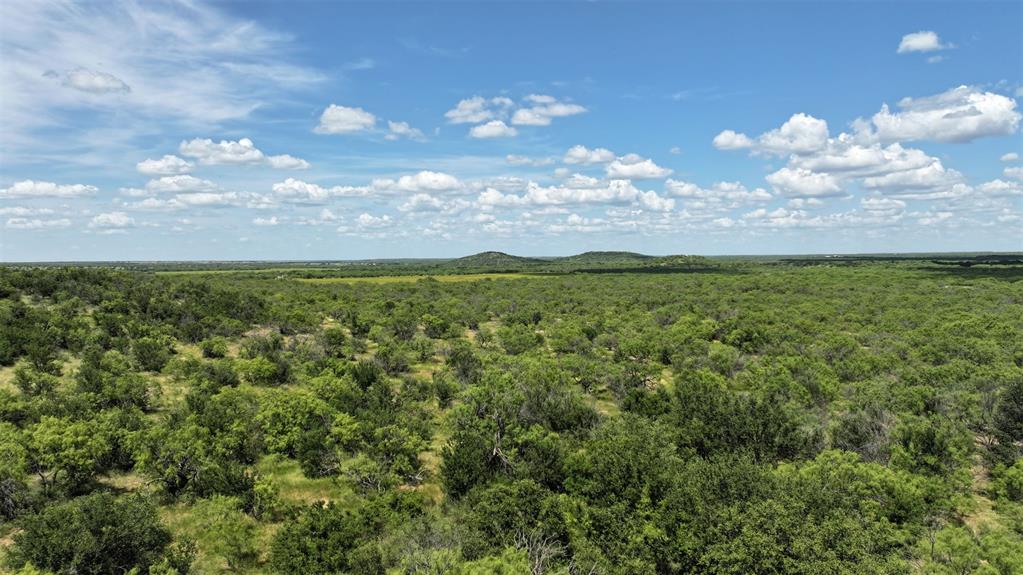 2850 County Road 122 Moran, TX 76464 - Photo 4 of 13 a view of a big yard with lots of green space