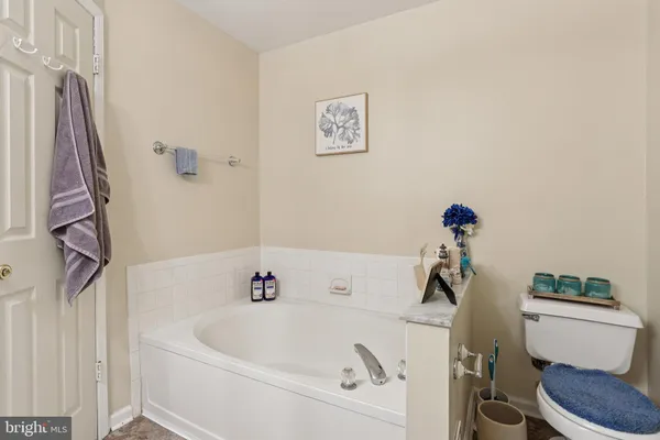 a bathroom with a bathtub and a toilet