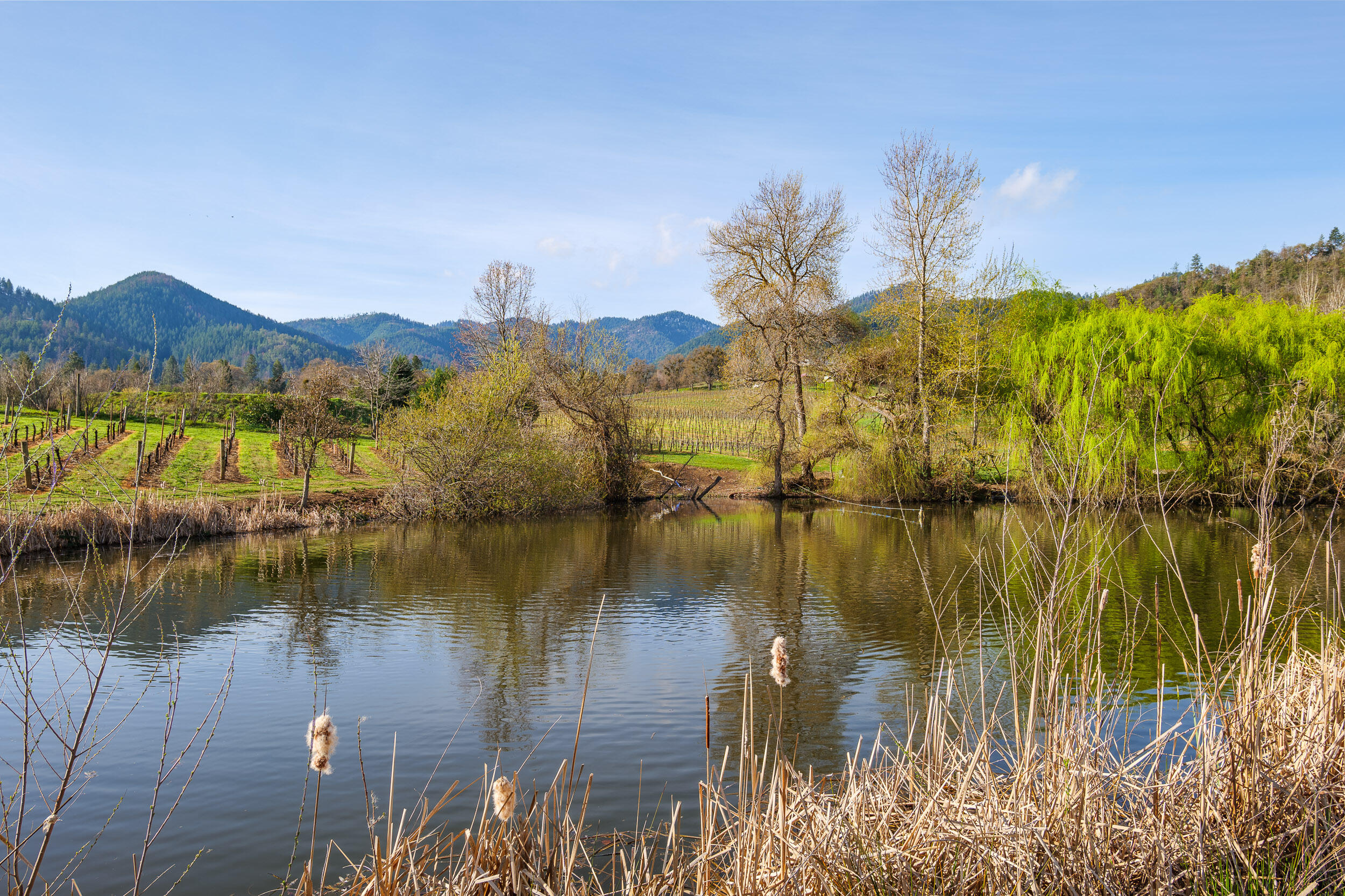 1000 Morey Road Talent, OR 97540 - Photo 12 of 48 a view of lake