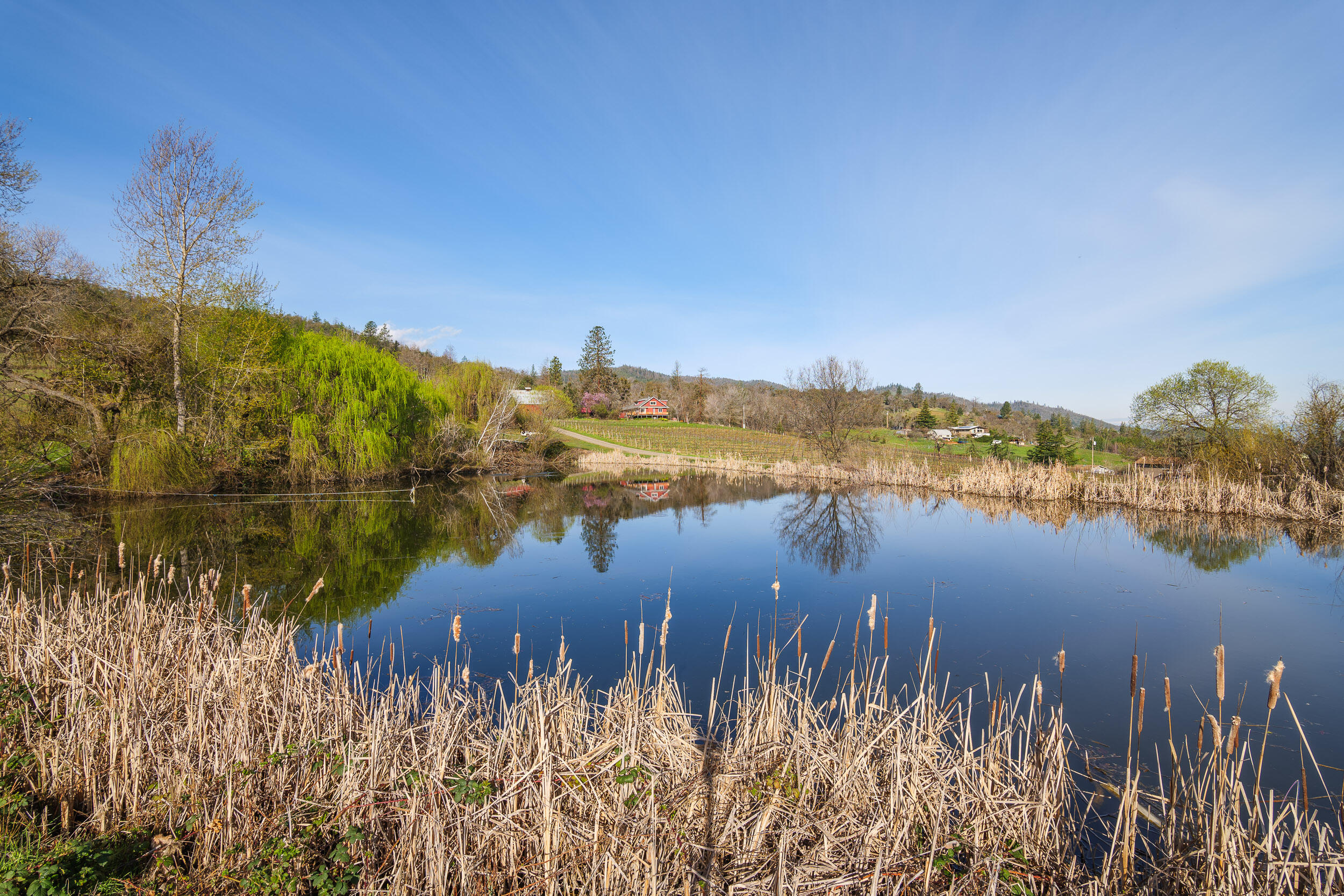 1000 Morey Road Talent, OR 97540 - Photo 13 of 48 a view of a lake with houses in the background