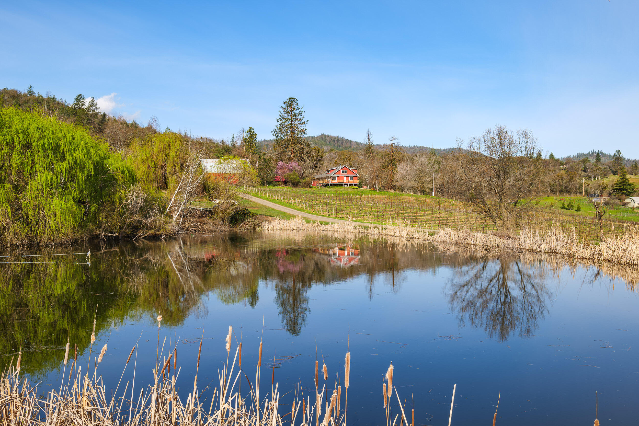 1000 Morey Road Talent, OR 97540 - Photo 4 of 48 a view of lake