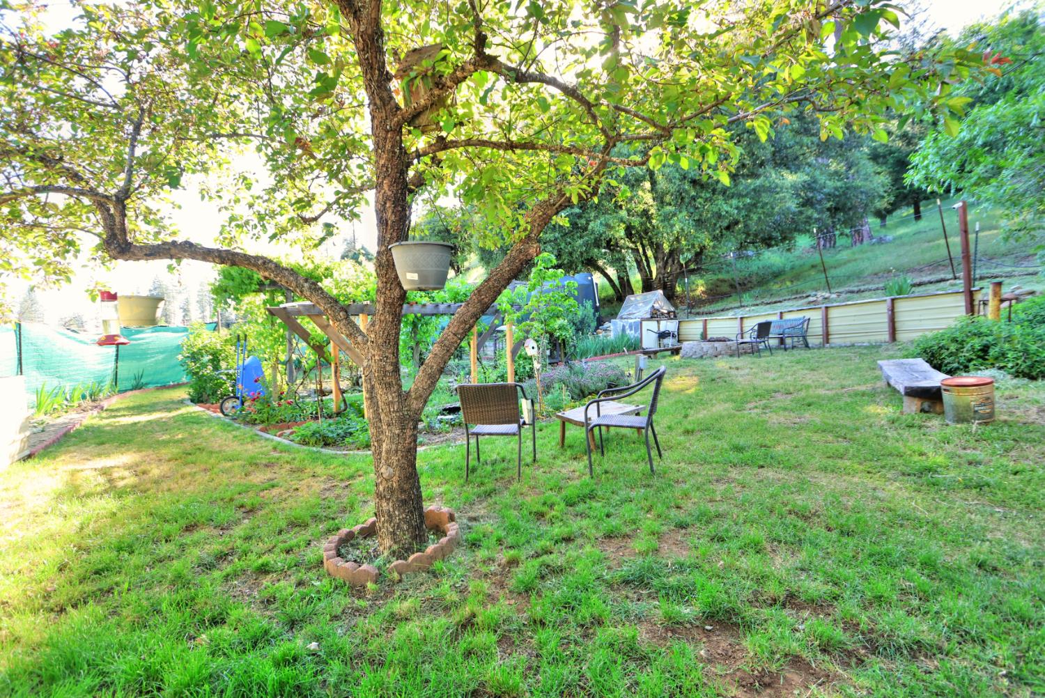 5421 Shooting Star Road Pollock Pines, CA 95726 - Photo 44 of 76