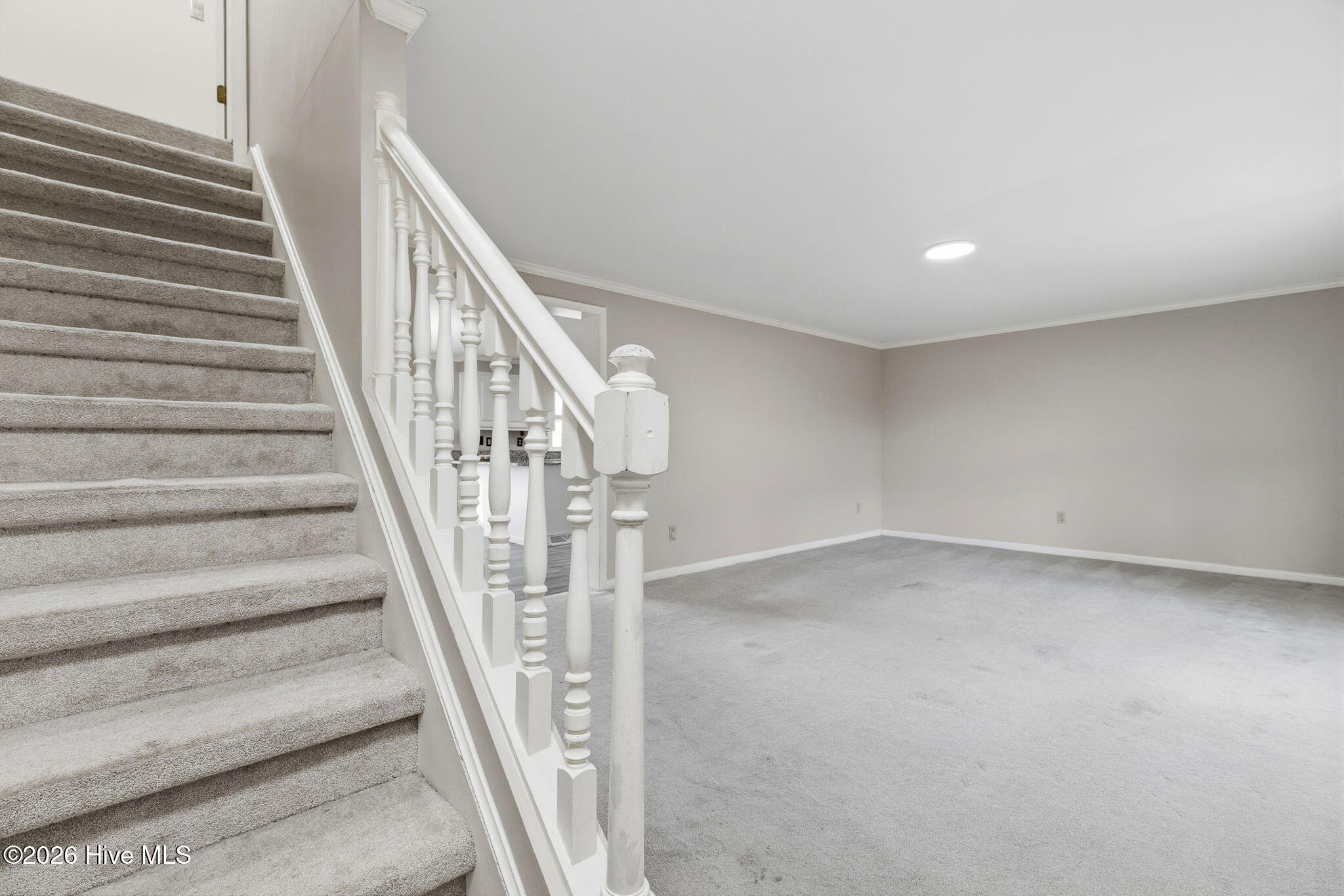 405 Timothy Road Jacksonville, NC 28546 - Photo 9 of 52 405 Timothy Road