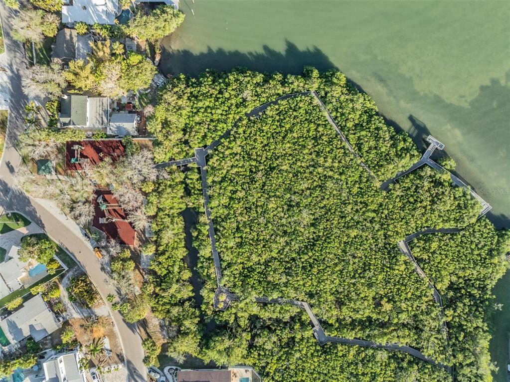 118 10th Avenue North Indian Rocks Beach, FL 33785 - Photo 31 of 31 a view of a garden