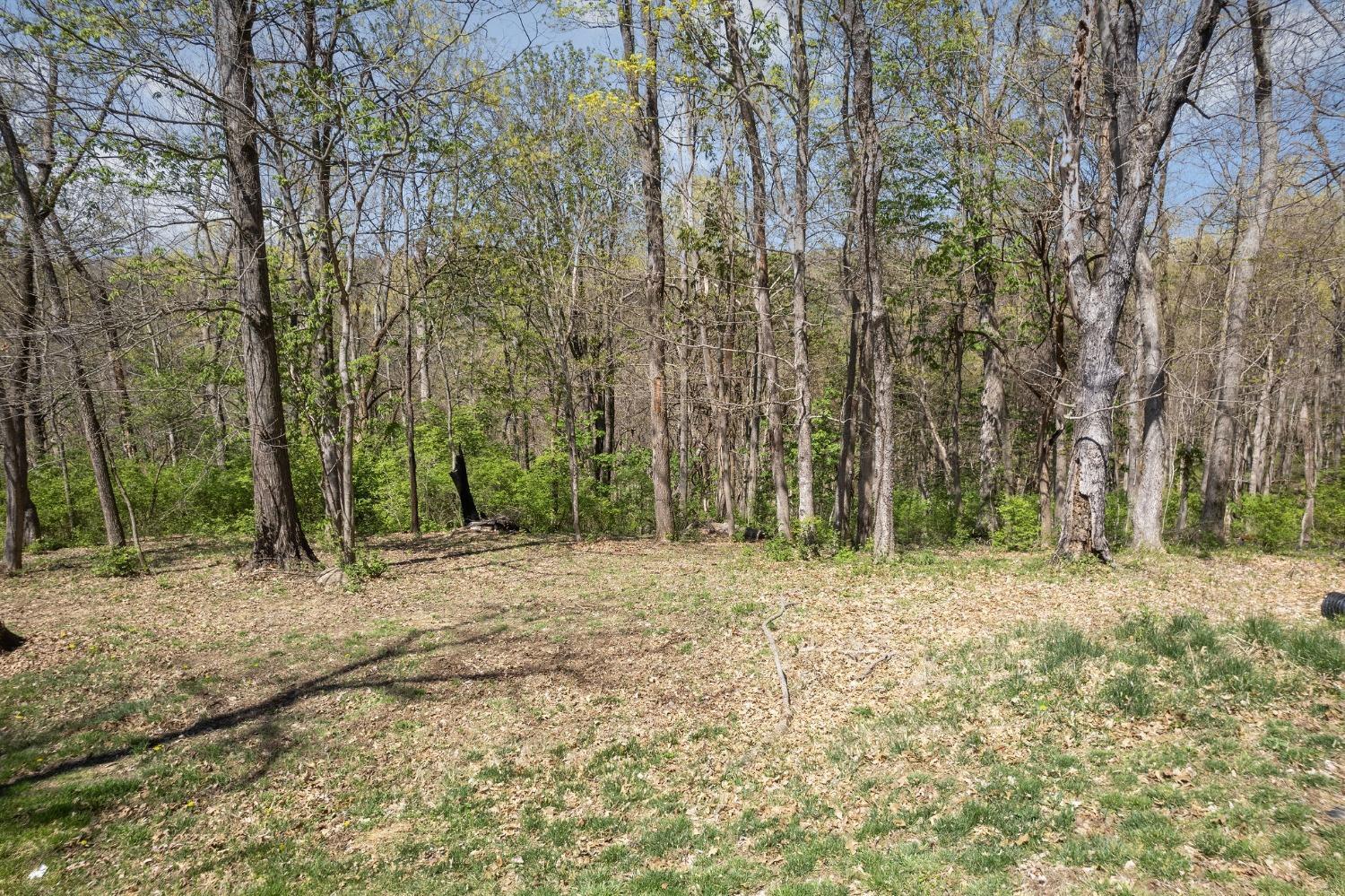 5343 Buck Run Road Georgetown, OH 45121 - Photo 44 of 47