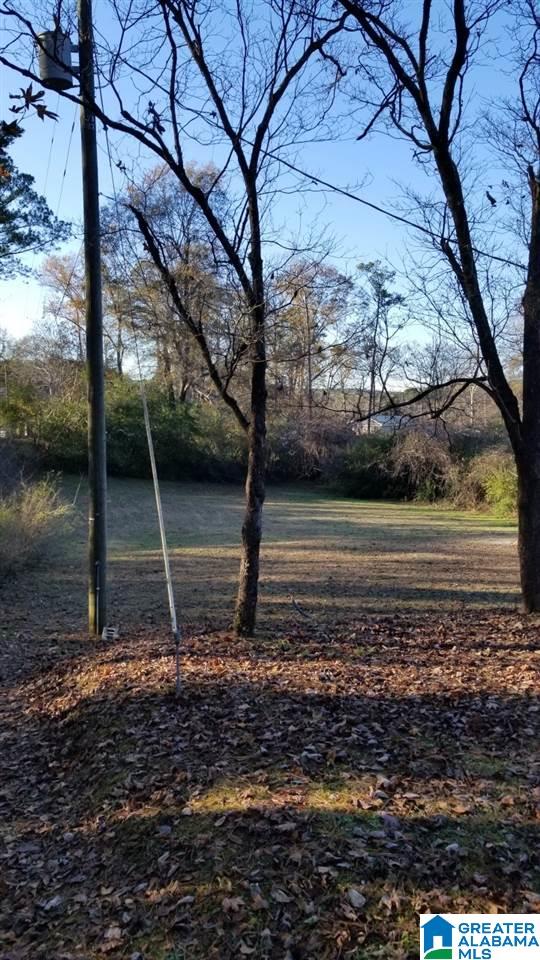 508 Terry Drive Adger, AL 35006 - Photo 16 of 17