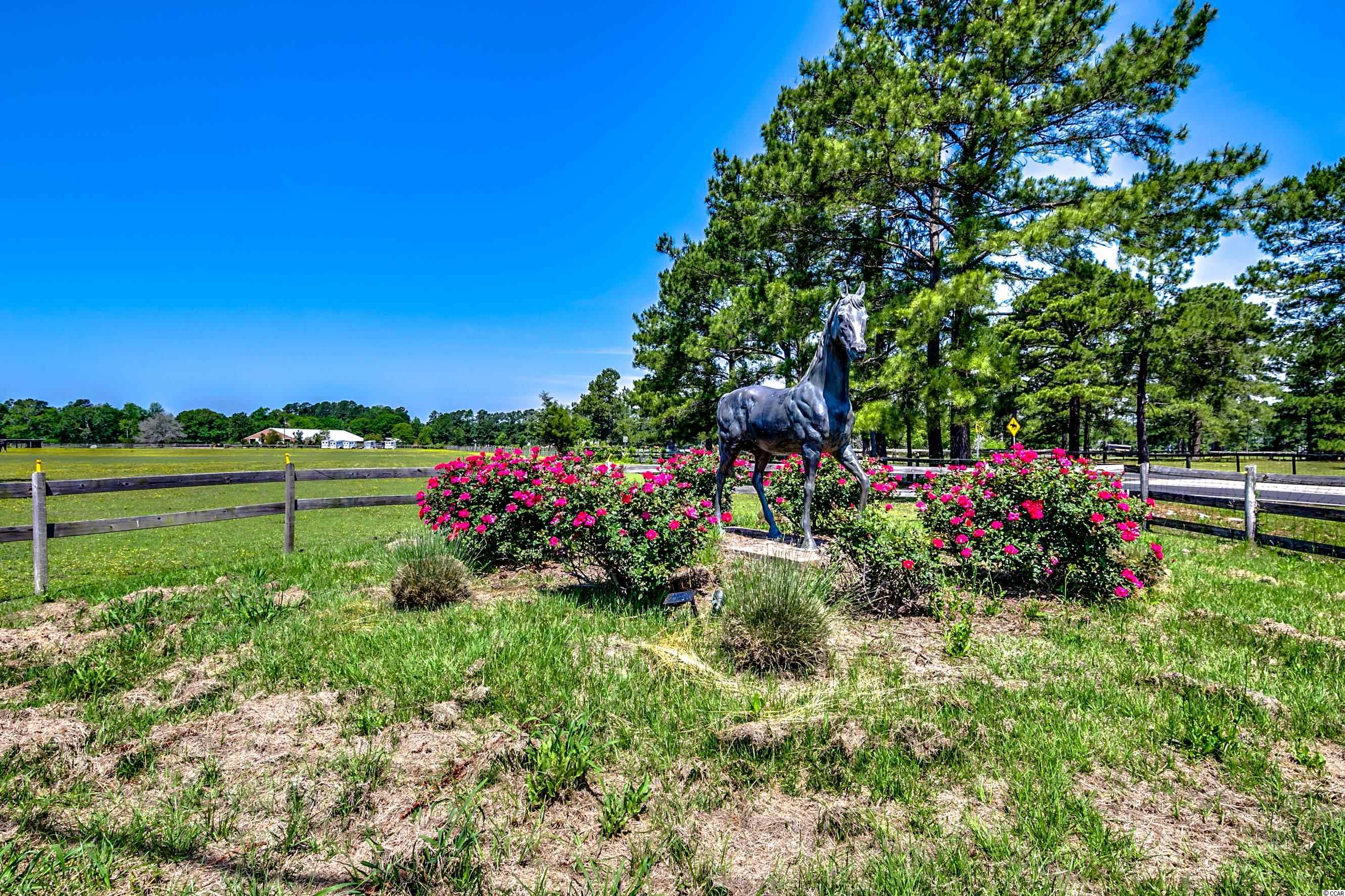 350 Red Fox Road Myrtle Beach, SC 29579 - Photo 33 of 36 Gallery Image 33