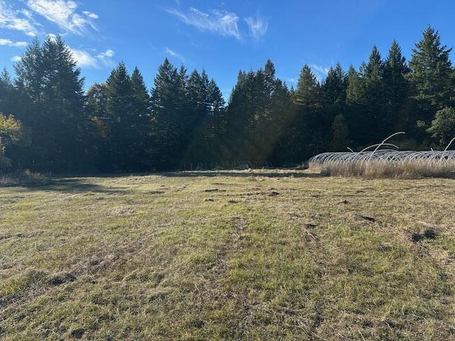 1200 McMullen Creek Road Selma, OR 97538 - Photo 3 of 5 IMG_5662 (2) - Copy