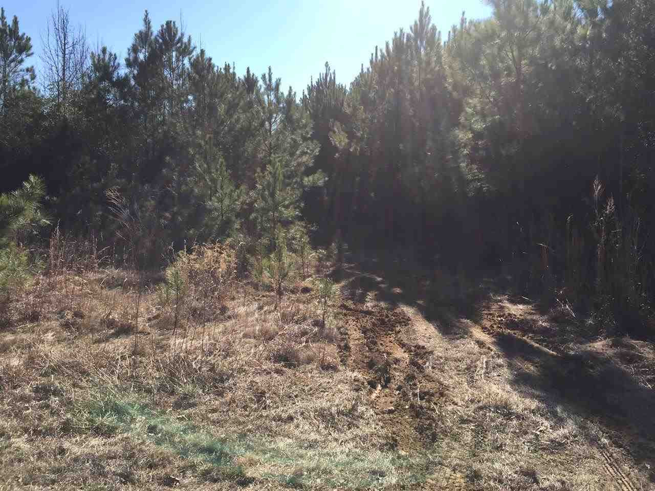 0 Mt Zion Road Mendenhall, MS 39114 - Photo 3 of 4 Photo 3