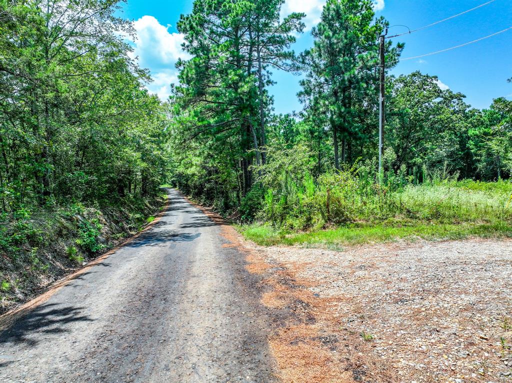 109 3900th Road Gilmer, TX 75644 - Photo 33 of 35 a view of a backyard of a house