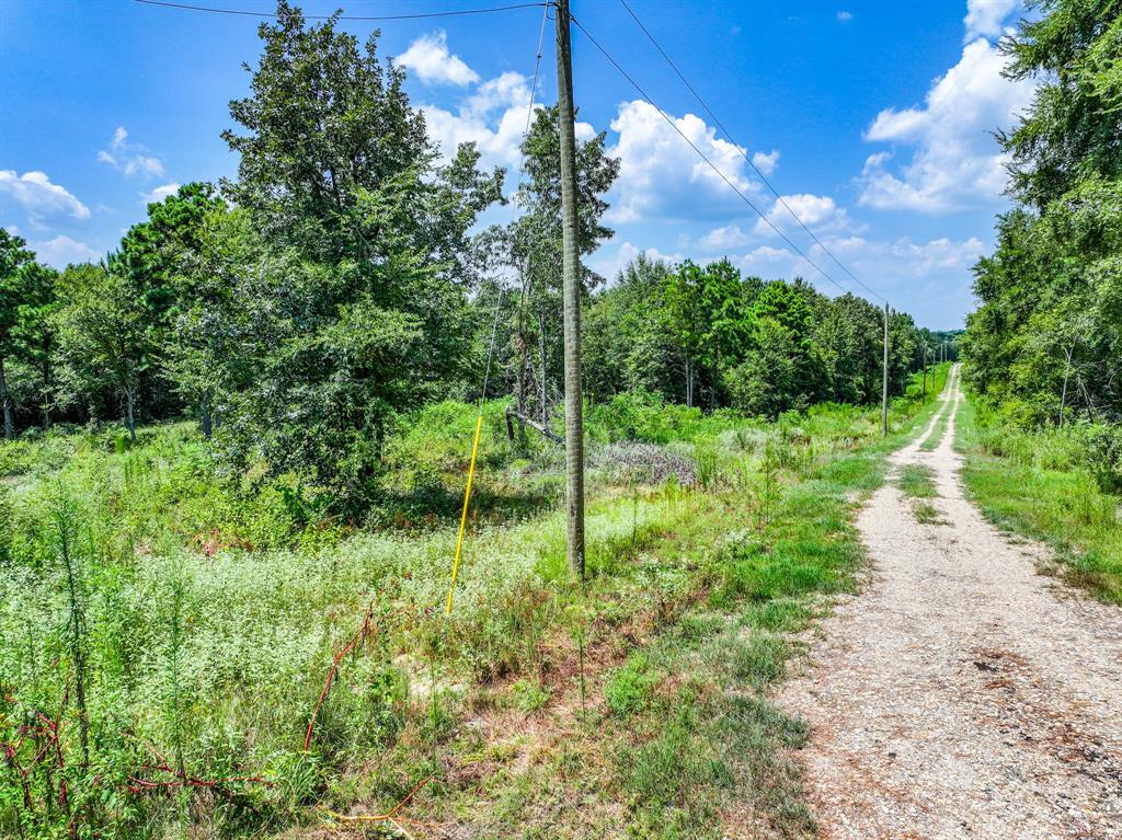 109 3900th Road Gilmer, TX 75644 - Photo 34 of 35 a garden view