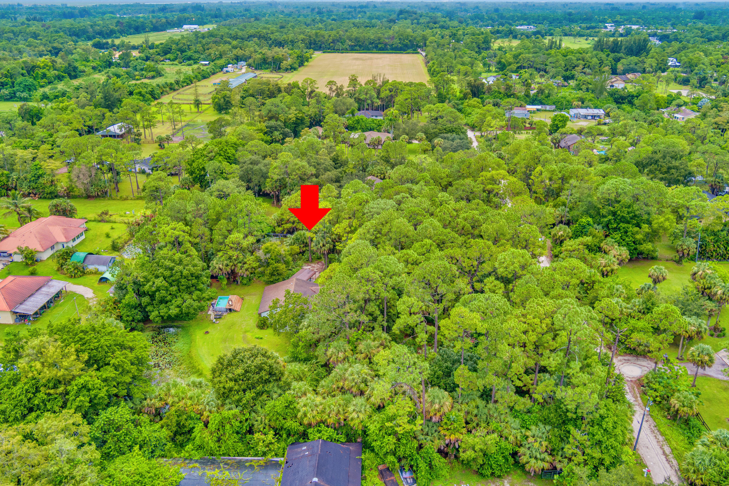 13578 Edith Road Loxahatchee Groves, FL 33470 - Photo 65 of 69 58c Corner E Side