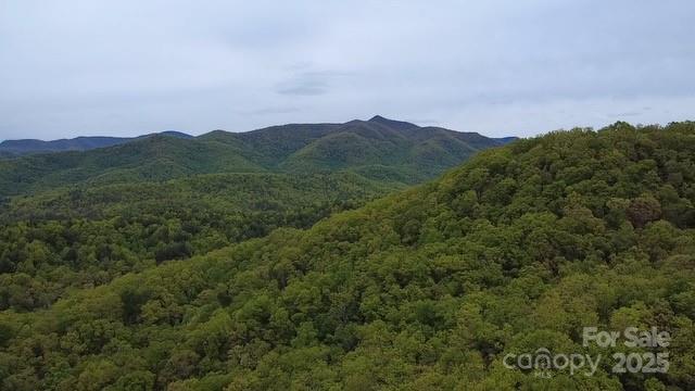 25 Sweetwater Rdg Road Balsam Grove, NC 28708 - Photo 1 of 18 Gallery Image 1