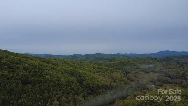 25 Sweetwater Rdg Road Balsam Grove, NC 28708 - Photo 3 of 18 Gallery Image 3